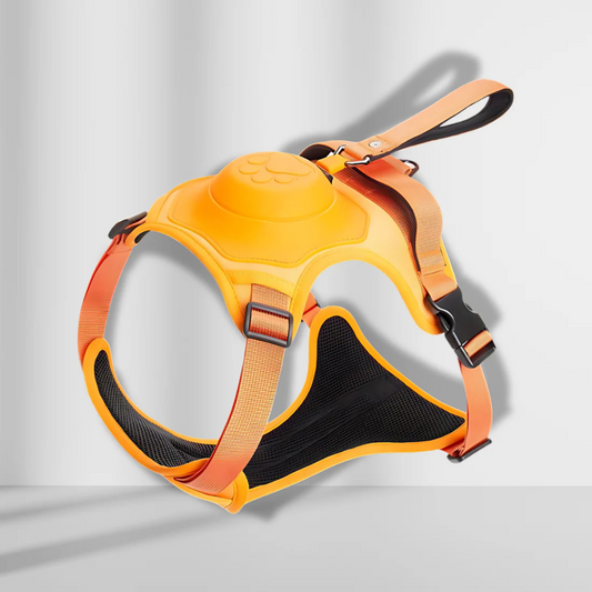 Retractable adjustable outdoor harness