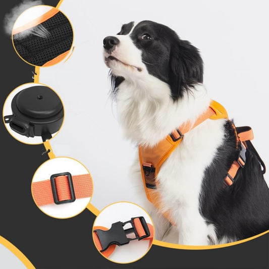 Retractable adjustable outdoor harness
