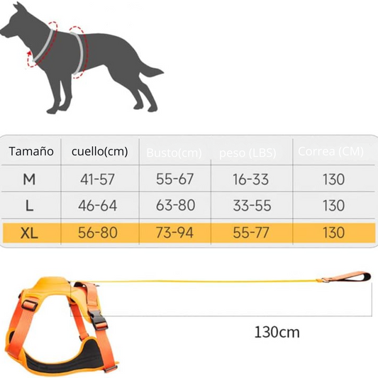 Retractable adjustable outdoor harness