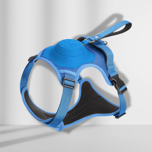 Retractable adjustable outdoor harness