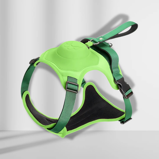 Retractable adjustable outdoor harness