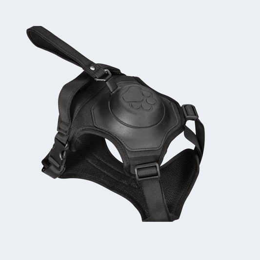 Retractable adjustable outdoor harness