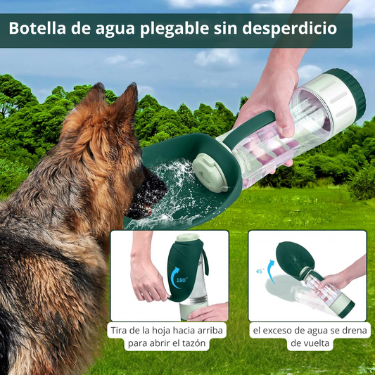 2-in-1 bottle (water + snack)